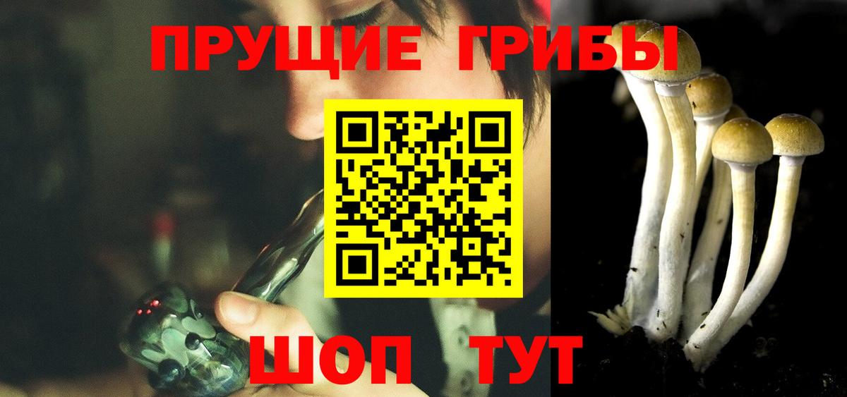 Псилоцибиновые грибы Psilocybe  Вход с VPN  Псилоцибиновые грибы GOLDEN TEACHER  Нижнекамск 
